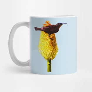 Amethyst Sunbird on Flowering Red Hot Poker Mug